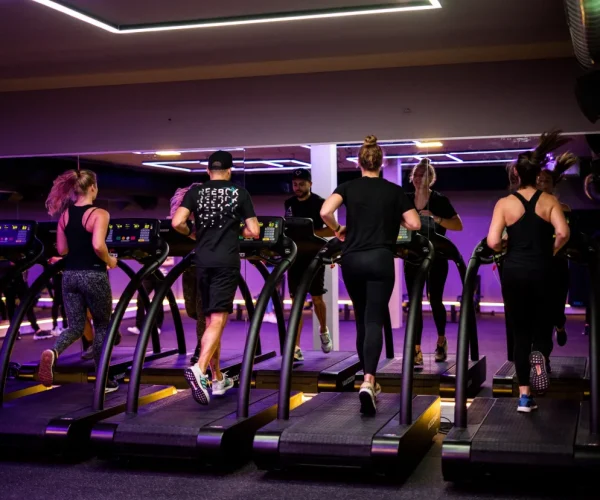 The Workout Lab