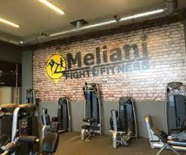 meliani2