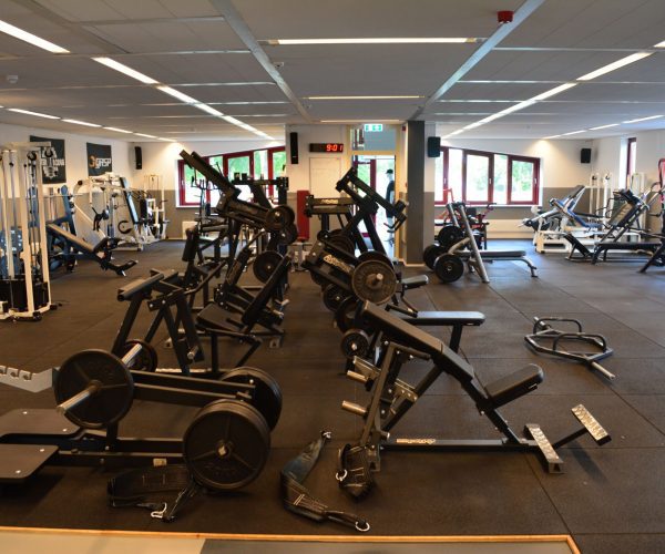 rog's gym2