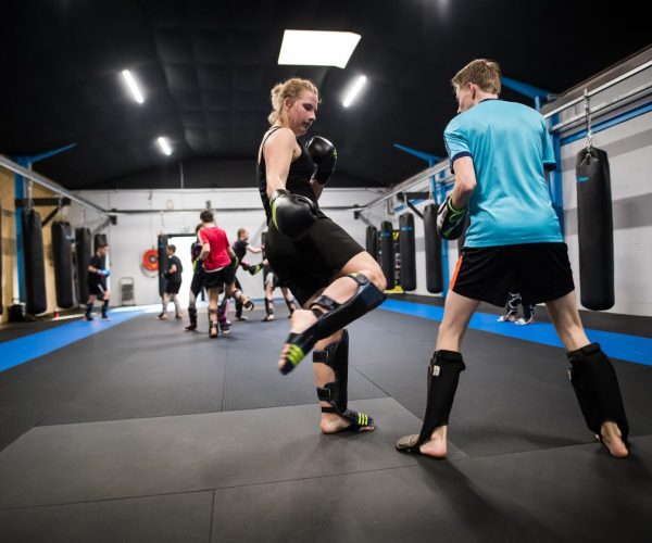 samsgym-boks