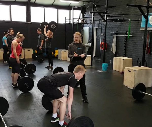the-training-club