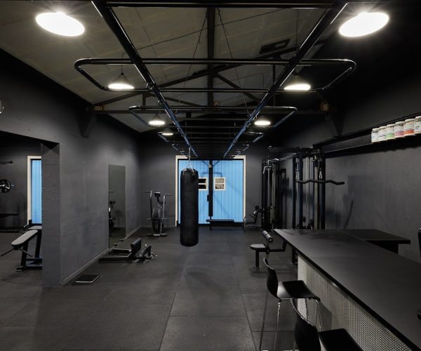 ultimate body gym