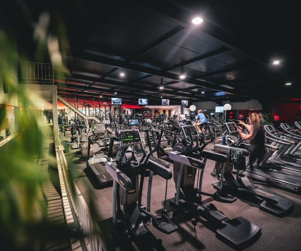 Fitness Bodyworld